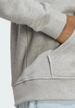 Adidas Originals Trefoil - Sweat À Capuche - Medium Grey Heather -Vêtements Magasin 2bfc4362359842a397b4f0c9d3b4d7dc